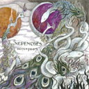 Confusion/Nepenthes[CD]【返品種別A】