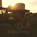 【送料無料】 枚数限定 Life is Beautiful(DVD付)/平井大 CD DVD 【返品種別A】