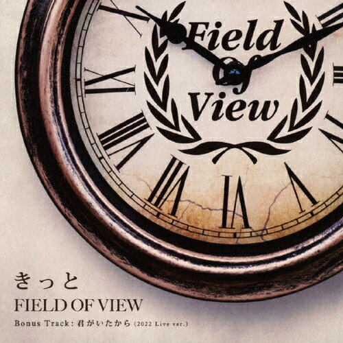 きっと/FIELD OF VIEW[CD]【返品種別A】