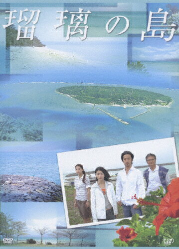 【送料無料】瑠璃の島 DVD-BOX/成海璃子[DVD]【返品種別A】