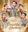 タカラヅカスペシャル2019 -Beautiful Harmony-/宝塚歌劇団[Blu-ray]