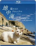 【送料無料】地中海・猫たちのクロニクル[ブルーレイ]/動物[Blu-ray]【返品種別A】