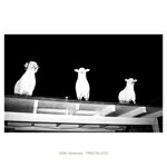 FRACTALIZED/AOKI takamasa[CD][紙ジャケット]【返品種別A】