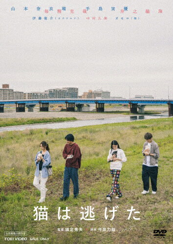 【送料無料】猫は逃げた/山本奈衣瑠[DVD]【返品種別A】