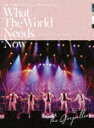 【送料無料】ゴスペラーズ坂ツアー2018〜2019“What The World Needs Now 【DVD】/ゴスペラーズ DVD 【返品種別A】