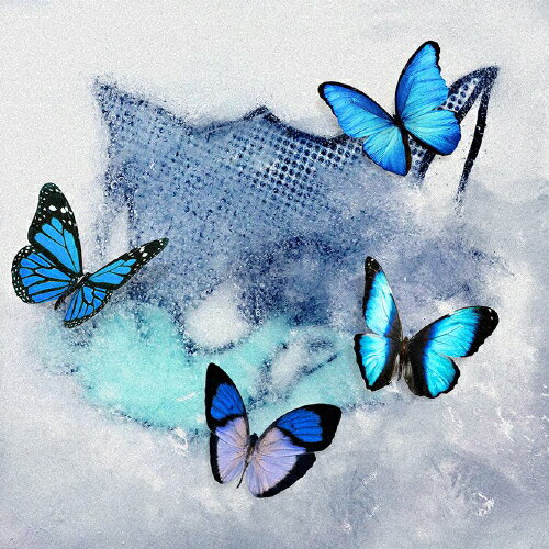 Frozen Butterfly【CD+DVD】/WOLF HOWL HARMONY from EXILE TRIBE[CD+DVD]【返品種別A】