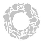 品　番：LACA-15225発売日：2012年08月22日発売出荷目安：5〜10日□「返品種別」について詳しくはこちら□品　番：LACA-15225発売日：2012年08月22日発売出荷目安：5〜10日□「返品種別」について詳しくはこちら□CDアルバムアニメーション関連(特撮等含む)発売元：ランティスDVD付鈴村健一 音楽活動5周年の1st ミニアルバム！ミュージッククリップを収録したDVD付収録情報