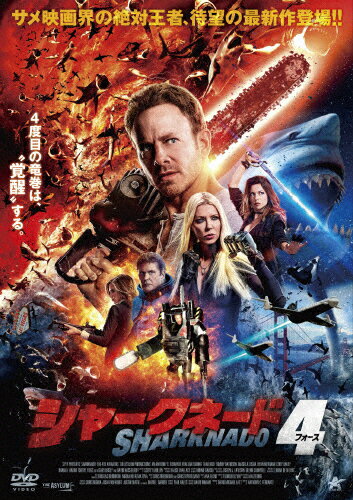 㡼͡4/󡦥[DVD]ʼA