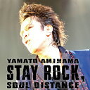 【送料無料】STAY ROCK,SOUL DISTANCE/網浜大和[DVD]【返品種別A】