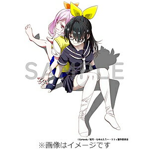 【送料無料】[Joshinオリジナル特典付]もめんたりー・リリィ 第2巻[※Joshinオリジナル全巻購入特典施策実施中]/アニメーション[Blu-ray]【返品種別A】のサムネイル