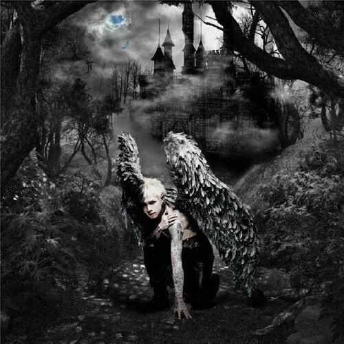 THIS IS MY WING/DAMIJAW[CD]ʼA