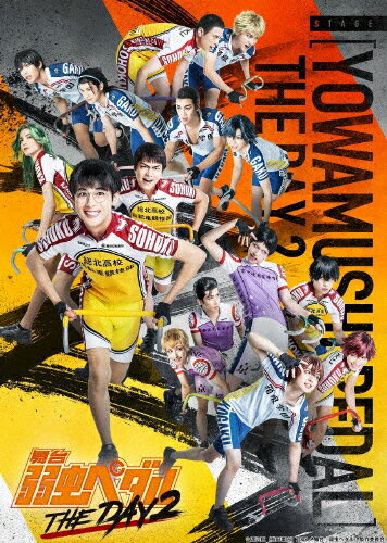 【送料無料】舞台『弱虫ペダル』THE DAY 2【DVD】/島村龍乃介[DVD]【返品種別A】