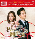 【送料無料】[枚数限定]私のキライな翻訳官 DVD-BOX1＜シンプルBOX 5,000円シリーズ＞/ヤン・ミー[DVD]【返品種別A】