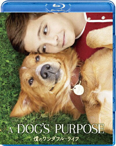 僕のワンダフル・ライフ/デニス・クエイド[Blu-ray]【返品種別A】