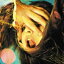 EMBRYONIC[͢]/FLAMING LIPS[CD]ʼA