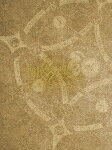 【送料無料】[枚数限定][限定版]Fate/Grand Order THE STAGE -絶対魔獣戦線バビロニア-(完全生産限定版)/丘山晴己[Blu-ray]【返品種別A】