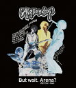 【送料無料】But wait.Arena 2022 Tour -Final-(BD)/ Alexandros Blu-ray 【返品種別A】