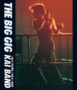 【送料無料】THE BIG GIG/甲斐バンド Blu-ray 【返品種別A】