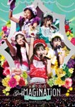【送料無料】女祭り2012-Girl's Imagination-/ももいろクローバーZ[DVD]【返品種別A】