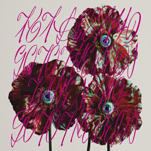 柏木由紀なりのGO TO THE BEDS -TRUE SONG-/GO TO THE BEDS、柏木由紀[CD]【返品種別A】