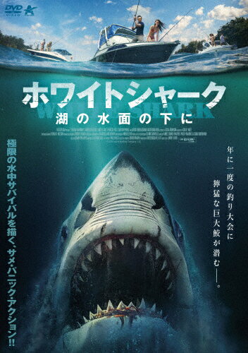 ハウス・シャーク DVD☆新品ケースに交換・ディスクの除菌・研磨