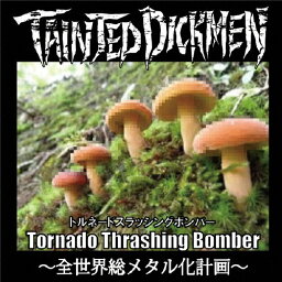 Tornado Thrashing Bomber 〜全世界総メタル化計画〜/Tainted DickMen[CD]【返品種別A】