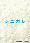 【送料無料】シニカレ完全版 DVD-BOX/藤ヶ谷太輔[DVD]【返品種別A】