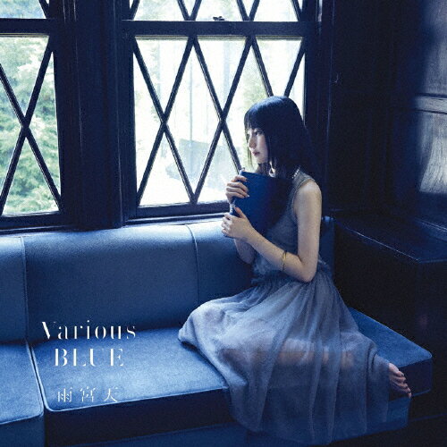 Various BLUE/ŷ[CD]̾סʼA