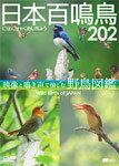 【送料無料】シンフォレストDVD 日本百鳴鳥 202 映像と鳴き声で愉しむ野鳥図鑑/教養[DVD]【返品種別A】