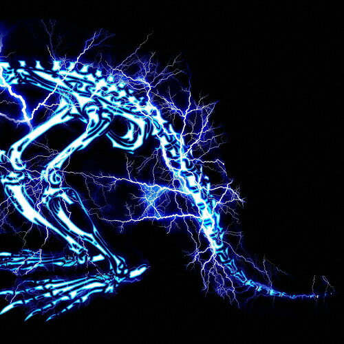 儚くない/SUPER BEAVER[CD]通常盤【返品種別A】