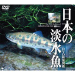 【中古】 謎めく野生の大地（Blu－ray　Disc）／（趣味／教養）