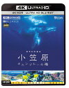 【送料無料】ビコム 4K Relaxes 世界自然遺産 小笠原 〜ボニンブルーの海〜/BGV[Blu-ray]【返品種別A】