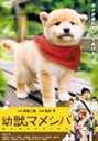 劇場版 幼獣マメシバ/佐藤二朗[DVD]【返品特約A】