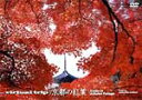 【ポイント3倍★30日am9:59迄】virtual trip 京都の紅葉〈低価格版〉/BGV[DVD]