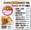 ƥDVD饪 ѡ10W(592)/饪[DVD]ʼA