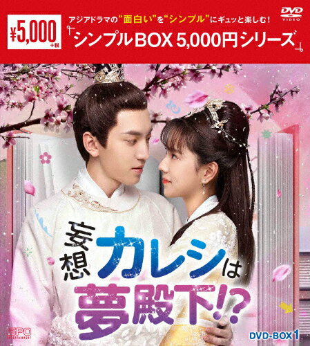 【送料無料】妄想カレシは夢殿下!? DVD-BOX1＜シンプルBOX 5,000円シリーズ＞/ワンイェン・ルオロン[DVD]【返品種別A】