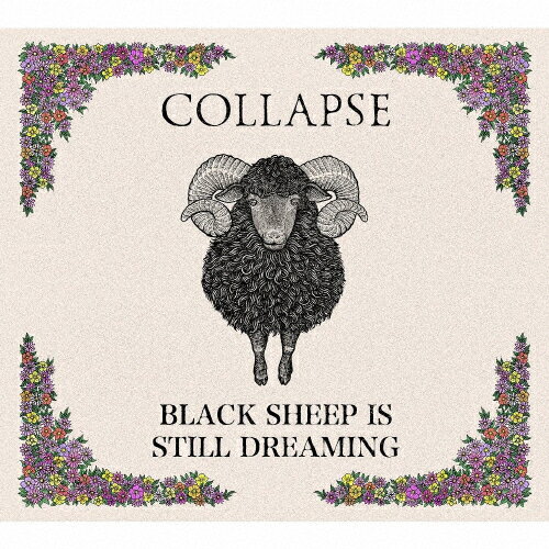 BLACK SHEEP IS STILL DREAMING/COLLAPSE CD 【返品種別A】