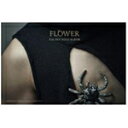 3集:FLOWER【輸入盤】▼/XIA(JUNSU)[CD]【返品種別A】