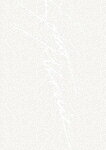 【送料無料】[枚数限定][限定版]SID 15th Anniversary GRAND FINAL at 横浜アリーナ 〜その未来へ〜(初回生産限定盤)/シド[DVD]【返品種別A】