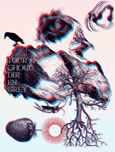 ̵[][]TOUR13 GHOUL()/DIR EN GREY[DVD]ʼA