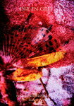 FROM DEPRESSION TO________[mode of 16-17]/DIR EN GREY[DVD]ʼA