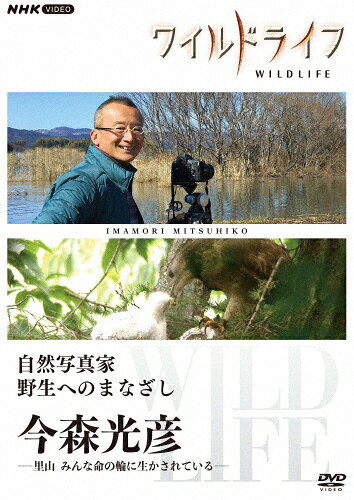 【送料無料】ワイルドライフ 自然写真家 野生へのまなざし 今森光彦/今森光彦[DVD]【返品種別A】