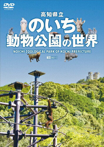 シンフォレストDVD 高知県立のいち動物公園の世界/ドキュメント[DVD]【返品種別A】