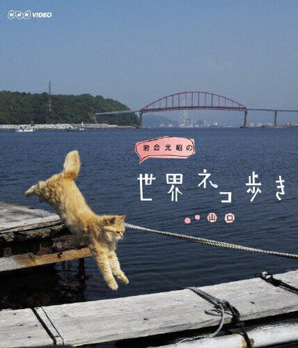 【送料無料】岩合光昭の世界ネコ歩き 山口/ドキュメント[Blu-ray]【返品種別A】
