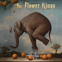 枚数限定 限定盤 WAITING FOR MIRACLES (LTD. 2CD DIGIPAK)【輸入盤】▼/THE FLOWER KINGS CD 【返品種別A】