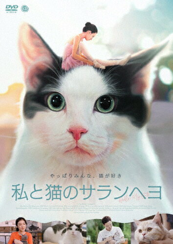 【送料無料】私と猫のサランヘヨ DVD/キム・ソヒ[DVD]【返品種別A】