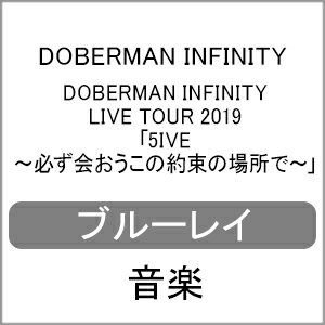 【送料無料】DOBERMAN INFINITY LIVE TOUR 2019 「5IVE 〜必ず会おうこの約束の場所で〜」(通常盤)【Blu-ray】/DOBERMAN INFINITY[Blu-ray]【返品種別A】