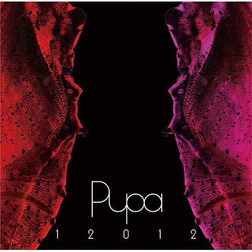 【送料無料】12012 BEST ALBUM 「PUPA」 2007〜2010/12012[CD+DVD]【返品種別A】