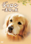 【送料無料】ディロン 運命の犬/樋口可南子[DVD]【返品種別A】