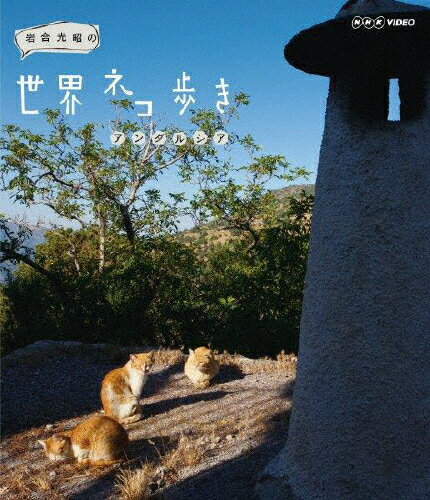 【送料無料】岩合光昭の世界ネコ歩き アンダルシア/ドキュメント[Blu-ray]【返品種別A】